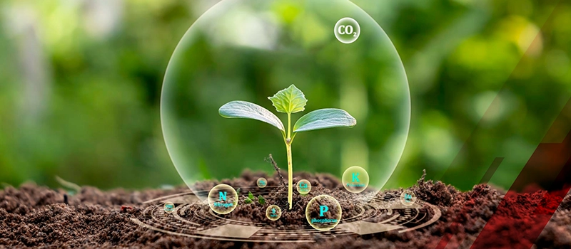Goodbye Chemicals, Hello Microbes: How Can Biofertilizers Enrich Your Soil and Boost Crop Yields?