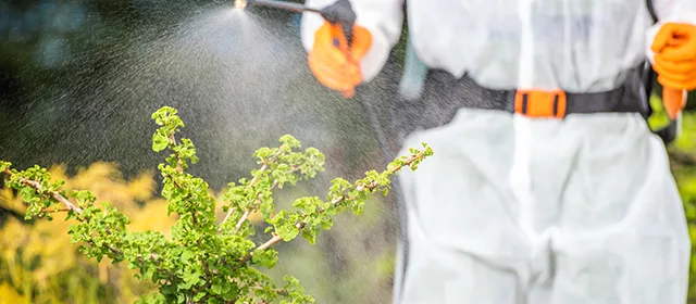 Eco-Friendly Pest Control: Why Pyrethrin Is a Top Choice