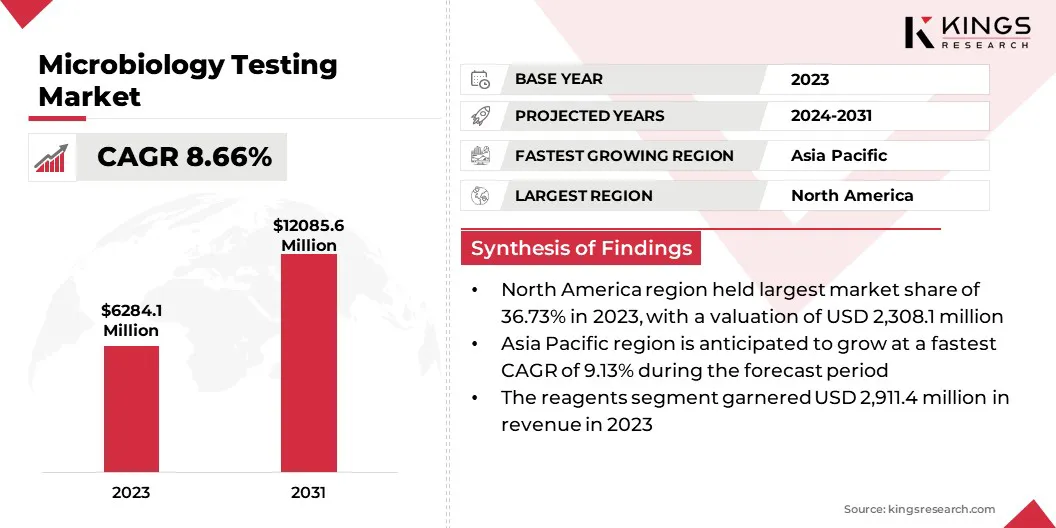 Microbiology Testing Market Size, By Revenue, 2024-2031