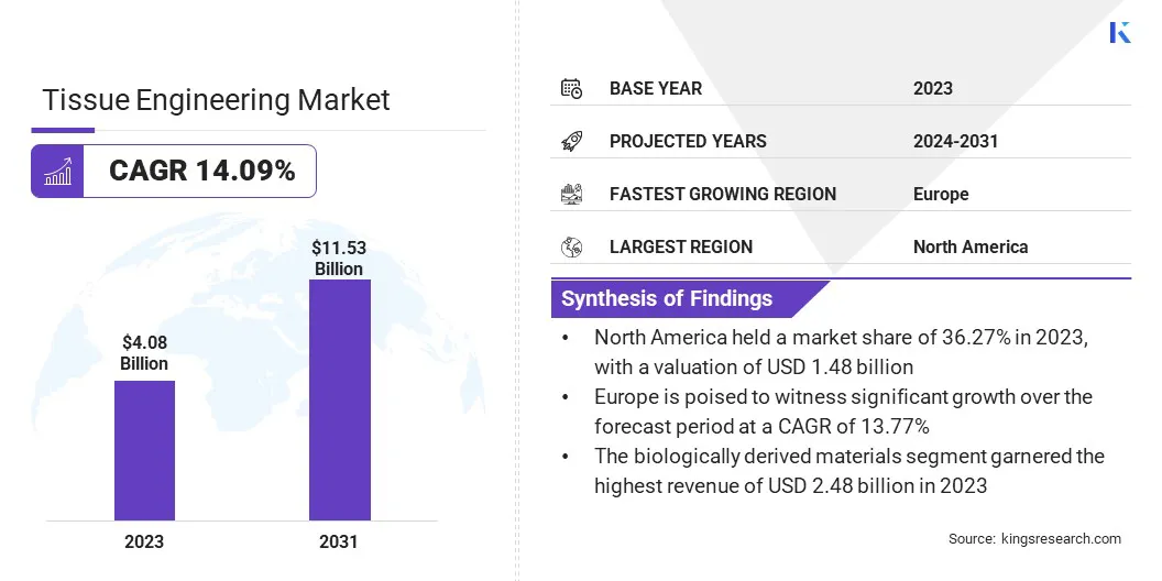 Tissue Engineering Market Size, By Revenue, 2024-2031