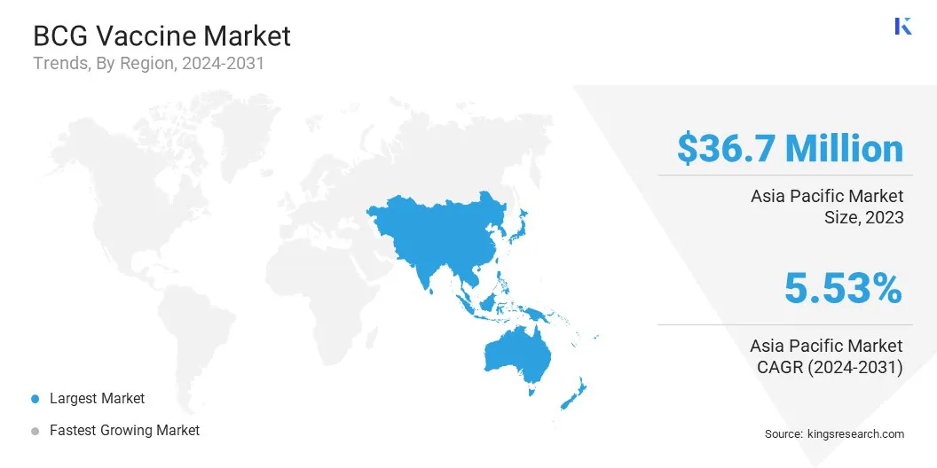 BCG Vaccine Market Size & Share, By Region, 2024-2031